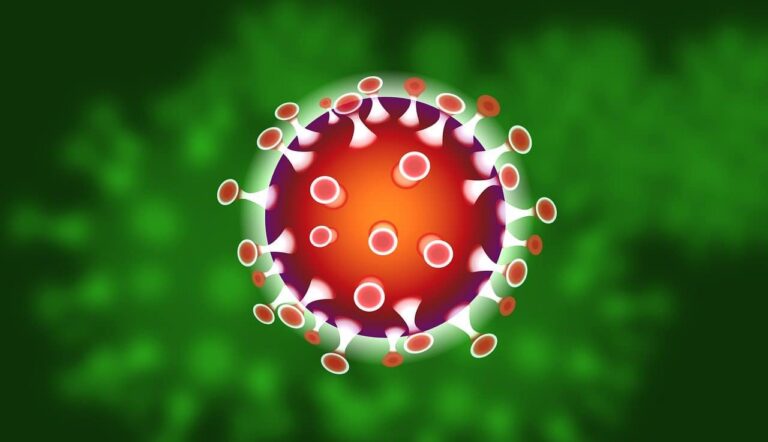 coronavirus